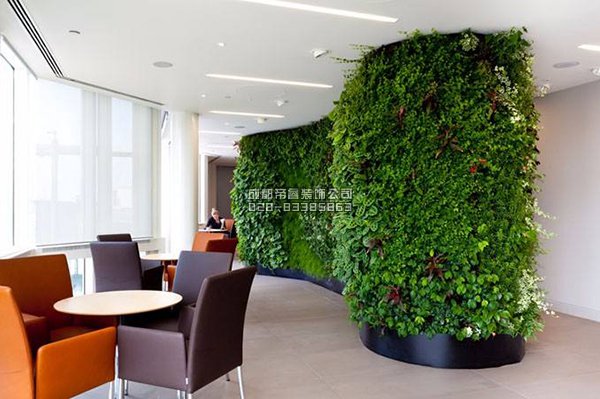 辦公室裝修完以后擺放什么綠植好？